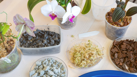 Similar image 21815280