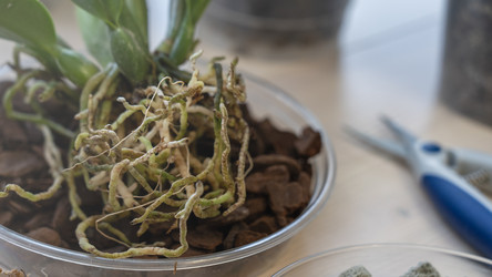 Similar image 21815283