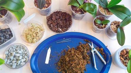 Similar image 21815286