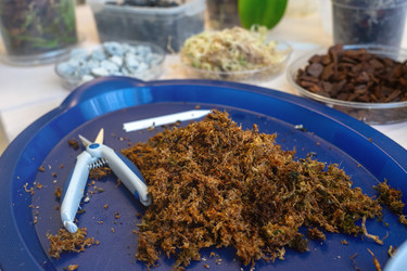 Similar image 21815288