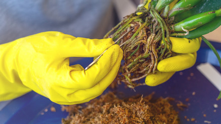 Similar image 21815290