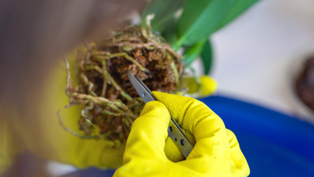 Similar image 21815292