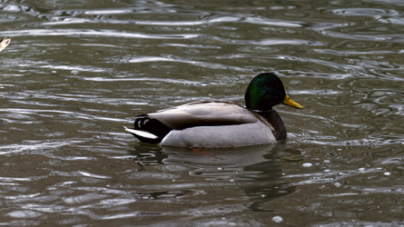 Similar image 21815298