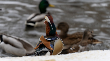 Similar image 21815303