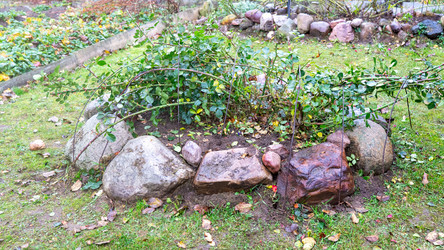 Similar image 21815634