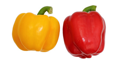 Similar image 21827955