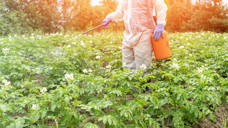 Similar image 21815191