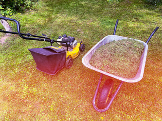 Similar image 21815317