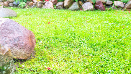 Similar image 21815321