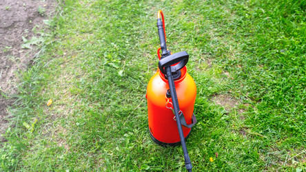 Similar image 21815322