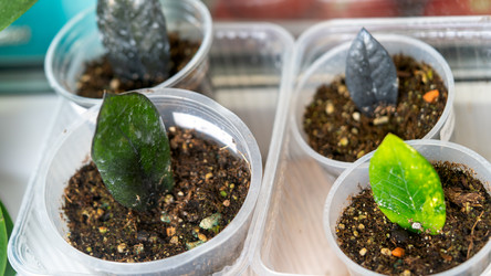 Similar image 21815323