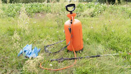 Similar image 21815325