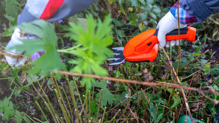 Similar image 21815333