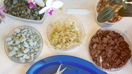 Similar image 21815346