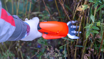 Similar image 21815347