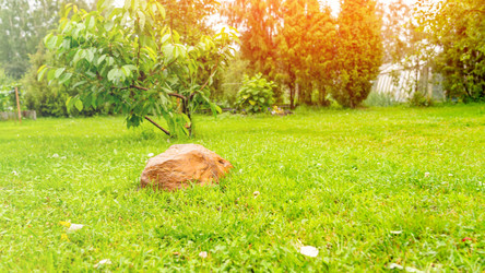 Similar image 21815675