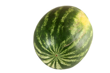 Similar image 21827988