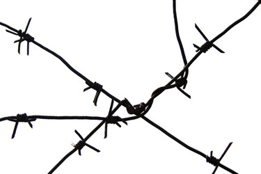 Similar image 21827998