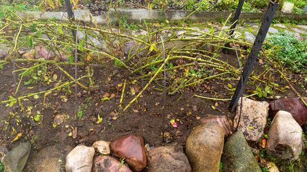 Similar image 21815186