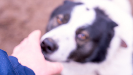 Similar image 21815192