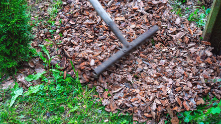 Similar image 21815193