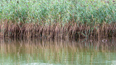 Similar image 21815194