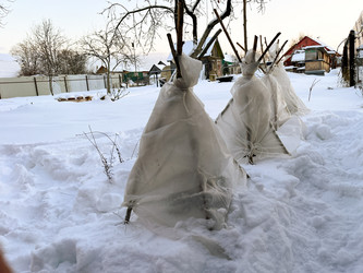 Similar image 21815201