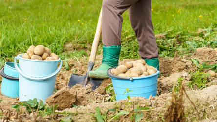 Similar image 21815349