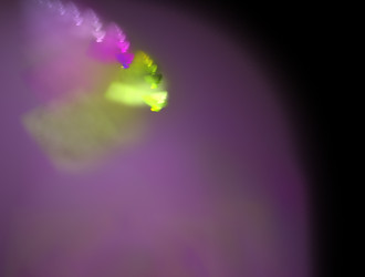 Similar image 21817784