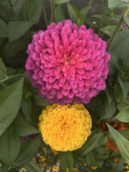 Similar image 21814769