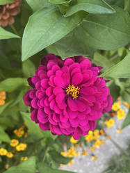 Similar image 21814770