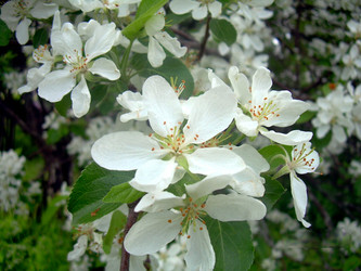 Similar image 21815137