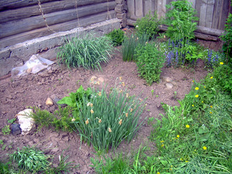 Similar image 21815139