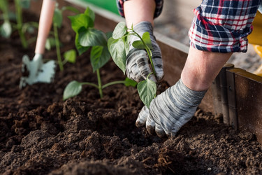 Similar image 21814772