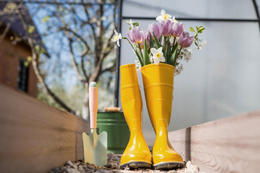 Similar image 21814790