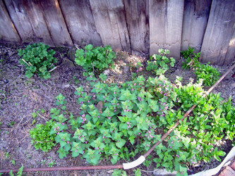 Similar image 21815142