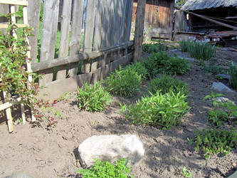 Similar image 21815143