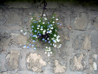 Similar image 21815145