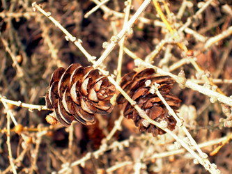 Similar image 21815146