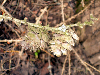 Similar image 21815147