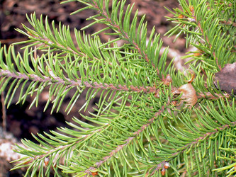 Similar image 21815148