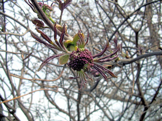 Similar image 21815149