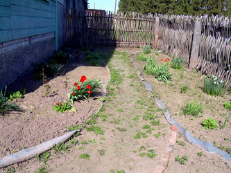 Similar image 21815152