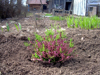 Similar image 21815156