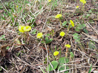 Similar image 21815157