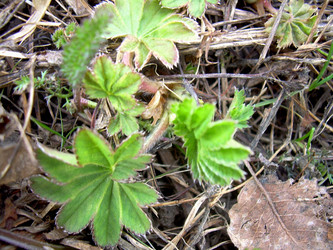 Similar image 21815158