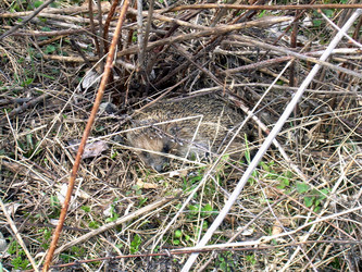 Similar image 21815159