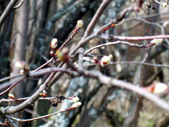 Similar image 21815160