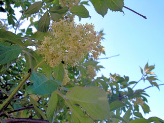 Similar image 21815162