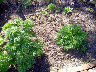 Similar image 21815165